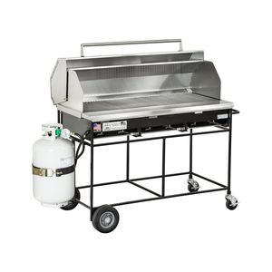 Gas-Grill