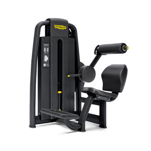 Rückenstreckungs-Fitnessgerät 1