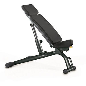 regelbare Krafttrainingsbank 1
