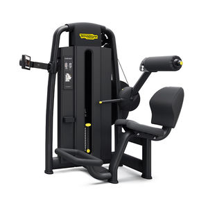Fitnessgerät für Rückenstrecker