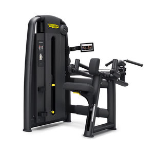 Fitnessgerät für Rückenstrecker