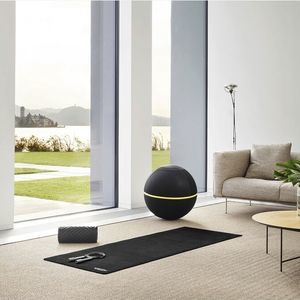 großformatiger Pilatesball