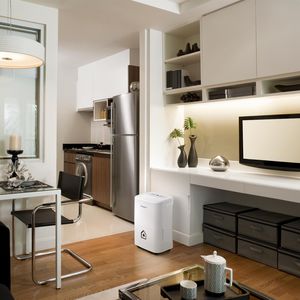 Bodenmontage-Luftentfeuchter 1