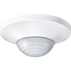 Lichtmelder 1