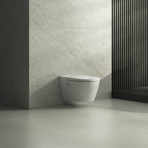 Dusch-WC 1