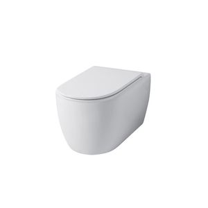 wandhängendes WC