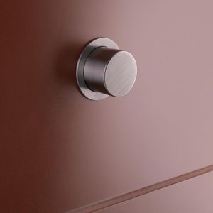WC-Spülknopf