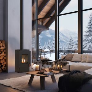 Holz-Kaminofen 1