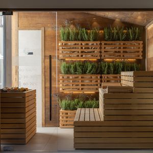 Sauna für Wellnesscenter