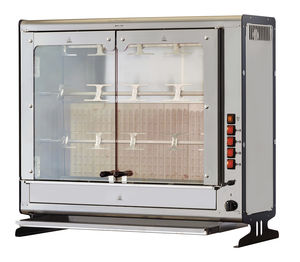 Gasbräter 1