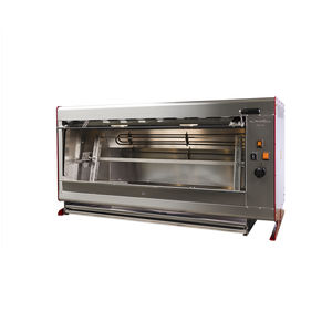 Gasbräter 1