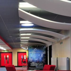 Abgehängte Decke / aus Mineralwolle - alle Hersteller aus Architektur