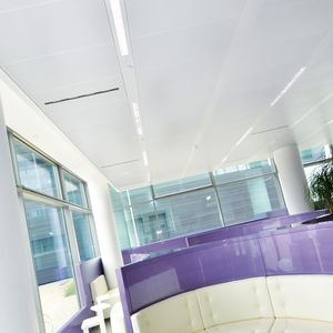 Abgehängte Decke / Aluminium