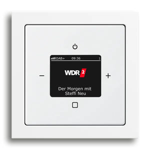 Audio-Steuerung 1