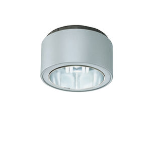 Downlight für Aufbau