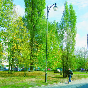 Straßenlaterne