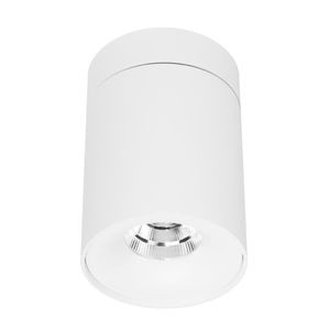 Downlight für Aufbau 1