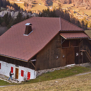 Falzdachziegel / Ton / Großformat