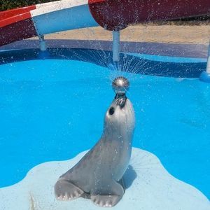 Pool Springbrunnen für eingelassenes Schwimmbäder 1