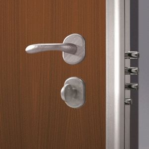 Zylinder-Sicherheits-Türschloss / Hochsicherheit