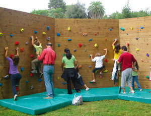 festinstallierte Kletterwand 1