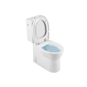 WC in Wandnähe 1