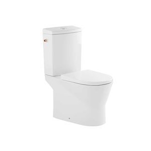 bodenstehendes WC 1
