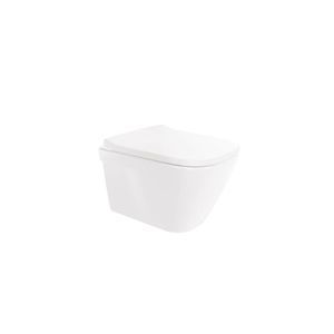 wandhängendes WC