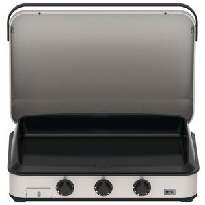 Plancha-Grill / Garten