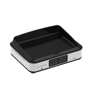 Plancha-Grill / für Garten 1