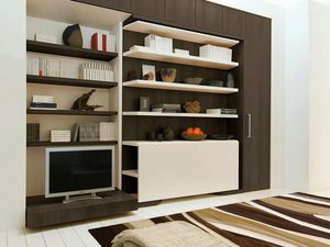 Schrankbett / Doppelbett / modern / Holz