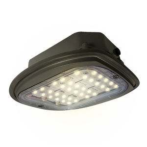 Beleuchtungs-Modul / LED 1