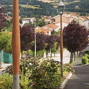 Straßenlaterne