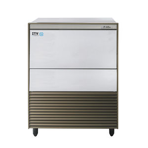 Profi-Eiswürfelbereiter 1
