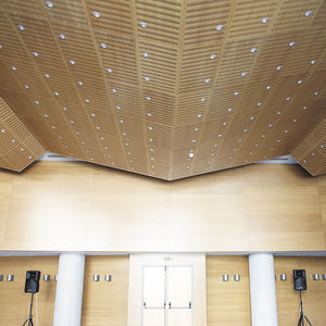 Abgehängte Decke / Holz