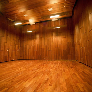 Akustikplatte für Decke