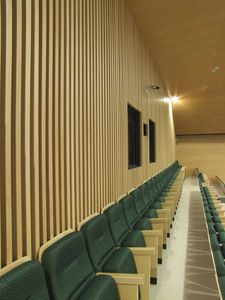 Abgehängte Decke / Holz