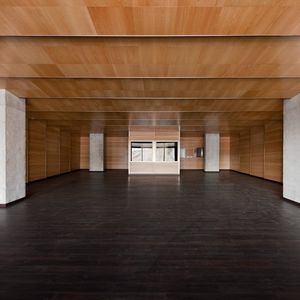 Abgehängte Decke / Holz / in Plattenform / Akustik / flammenhemmend