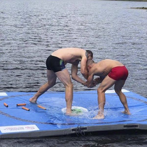 Ringermatte auf dem Wasser 1