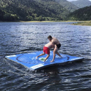 Ringermatte auf dem Wasser 1