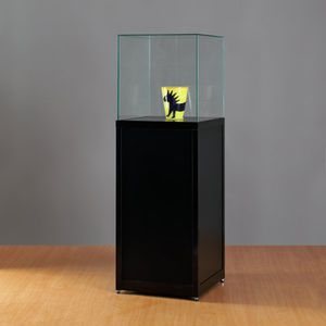 moderne Vitrine 1