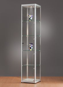 moderne Vitrine 1