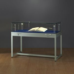 moderne Vitrine 1
