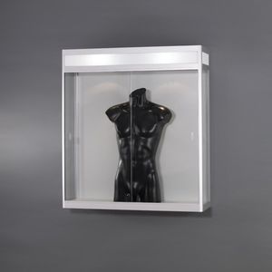 moderne Vitrine