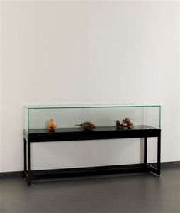 moderne Vitrine 1