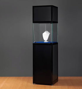 moderne Vitrine 1