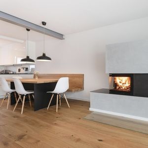 Geschlossene Feuerstelle / Holz 1