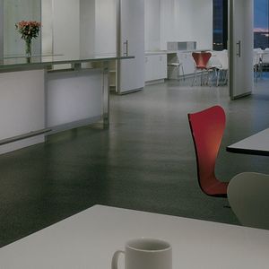 Gummibodenbelag / rutschfest / schalldämpfend / für Gesundheitseinrichtungen