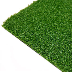 Künstlicher Rasen 1