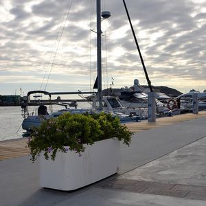 Beton-Pflanzkübel 1